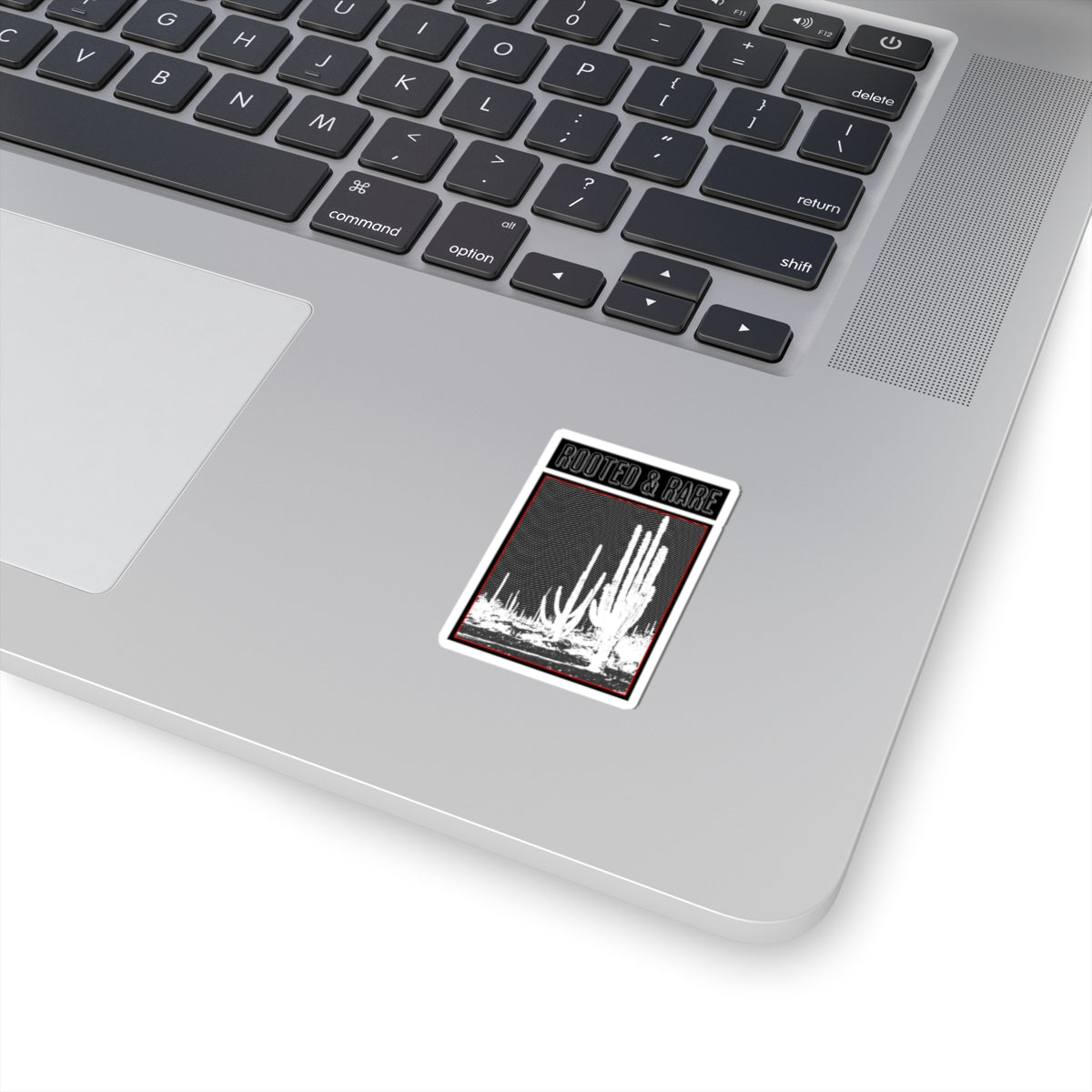Rooted & Rare Cactus Graphic Sticker