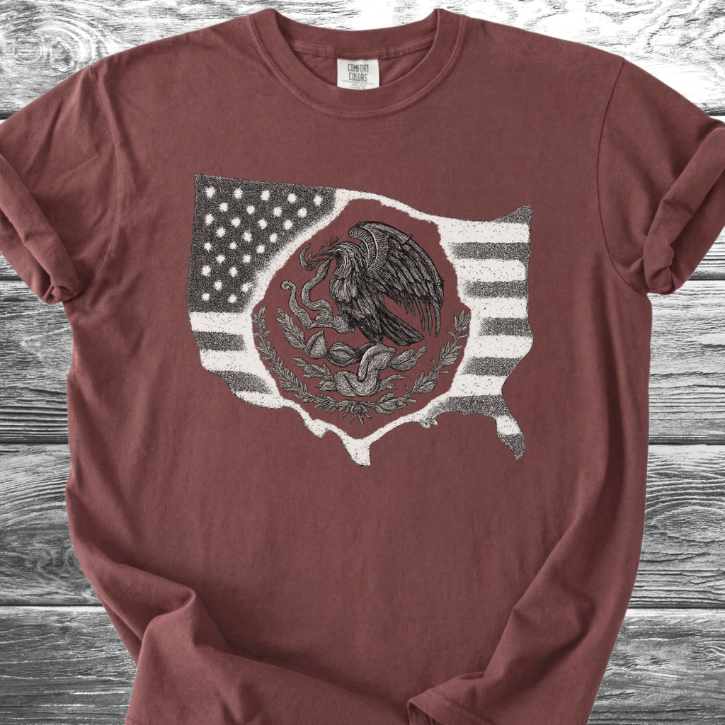America x Mexico TShirt