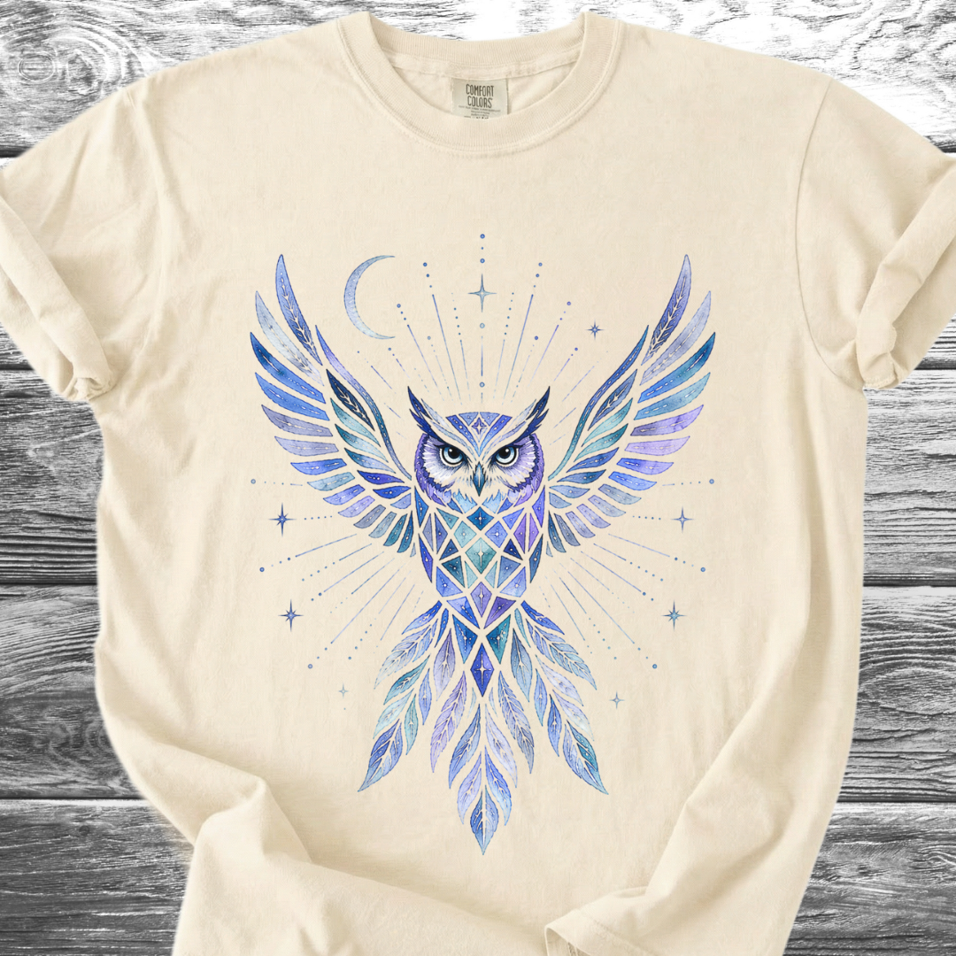 Owl Moonbeam TShirt